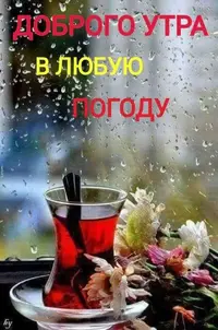 IMG-20211205-WA0003.webp