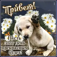 IMG-20211208-WA0001.webp