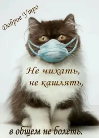 f7f8d95734e7c8f4d20d8a2634ce4ff9.webp