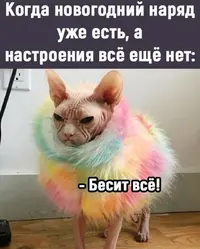 Screenshot_20211128_083717.webp