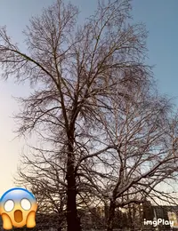 6F3B3ECB-1D94-434E-912C-5CE10A2DAE42.webp