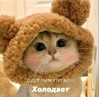 IMG-20211209-WA0008.webp