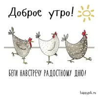 32f5aad15345f5a9e49c83b8ffac66d4.webp