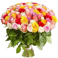 IMG-fad0eb59a76ea742d85639bef56eb165-V.webp