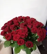IMG_20201228_173030.webp