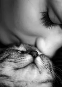 4383.webp