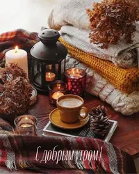 C68551B7-6C44-4358-9854-653E43660875.webp