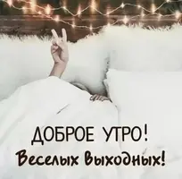 d261b7c54d32763fd0910cd82d059936.webp
