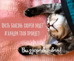 125.webp
