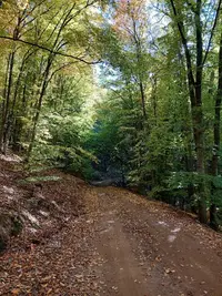 20211010_145831.webp