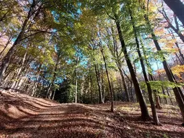 20211010_164248.webp
