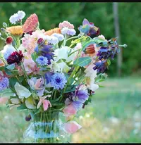 IMG_20211212_062044.webp