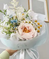 24661A96-70BB-428B-990C-22D57D26F2BC.webp