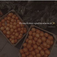 73D8AE38-DBE8-4719-9DE5-D7EF16C2A51D.webp