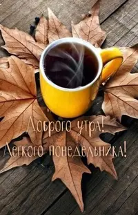 102770A9-FF3E-4C06-9532-91D0C43C48BC.webp