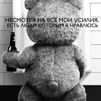 nmT1uqswcFE.webp