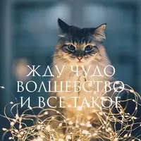 21a59ff188ca72d9fdb200d28c484739.webp