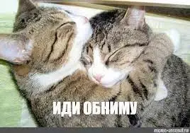 Без названия.webp