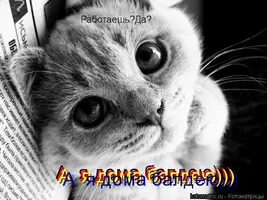 unnamed (2).webp
