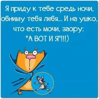 foto-3-kartinka-s-prikolom-i-pozhelaniem-spokoynoy-nochi.webp