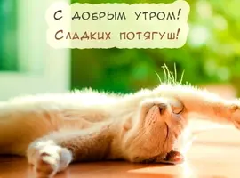 dlia-podniatya-nastroenia-2.webp