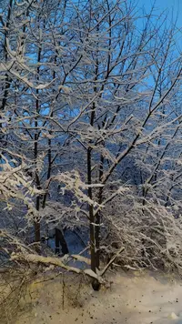 IMG_20211214_082603.webp