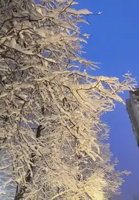 Screenshot_20211214_090806.webp