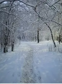 Screenshot_20211214_090745.webp