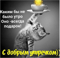 IMG_20211107_110244.webp