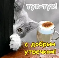 93eee347114a75baad241545d25e3ffa.webp