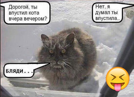 IMG_20211202_191422.webp