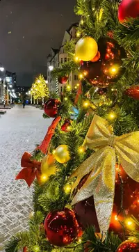 20211217_083500.webp