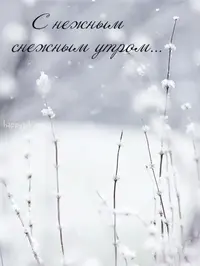 6c7c9580dd069a40135ef21c9c8a5523.webp