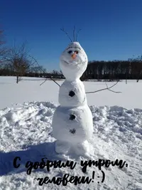 C9696D2E-981E-40D3-8925-733F02CD2FB8.webp