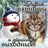 IMG-20211217-WA0005.webp