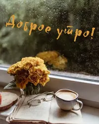 91A6996C-94BE-4AC4-82F1-57892D07F691.webp
