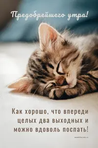 5a59013557a152c02420661027dd2387.webp