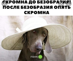 A4F55C67-0BC9-4A83-A18D-B62761F9532B.webp