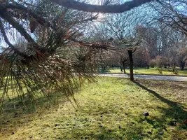 Screenshot_20211220-000710_Gallery.webp