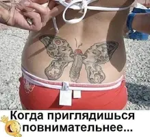 j65z8GWOm2.webp