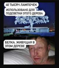 IMG_20211222_054947.webp