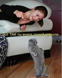 IMG_20211222_055008.webp