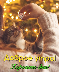 IMG_20211221_221840.webp