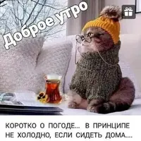 IMG-20211222-WA0026.webp