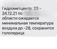 07683F46-474B-4C25-B41A-B6F59725DD96.webp