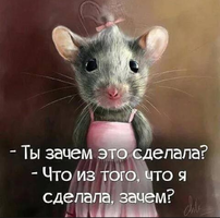 IMG_20211222_055127.webp