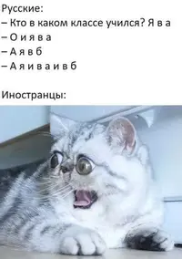 327b8852fdae6aaf4d0b6a6b7f4e4aef.webp
