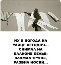 E06205D9-1266-4A13-B048-9D1C988ED14D.webp
