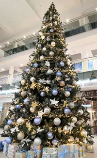 Screenshot_20211224_180439.webp