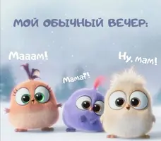 Screenshot_20211222_153409.webp